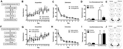 Regulation of Garcinol on Histone Acetylation in the Amygdala and on the Reconsolidation of a Cocaine-Associated Memory